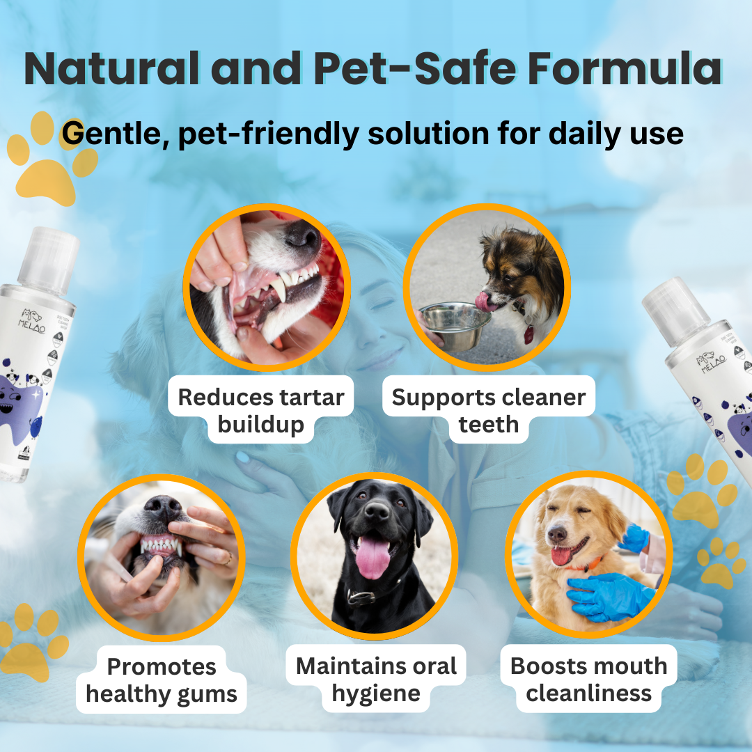 FIONZO™ Pet Oral Care Water Cleaner