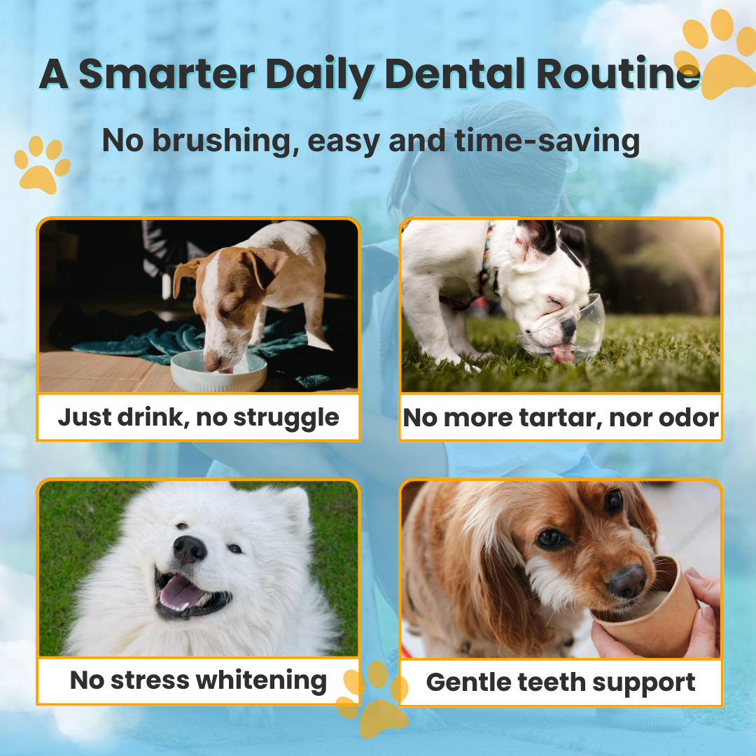 FIONZO™ Pet Oral Care Water Cleaner