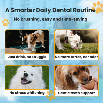 FIONZO™ Pet Oral Care Water Cleaner