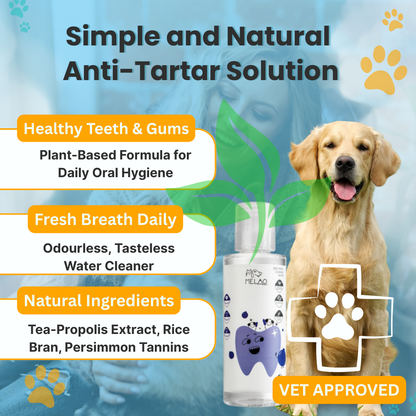 FIONZO™ Pet Oral Care Water Cleaner