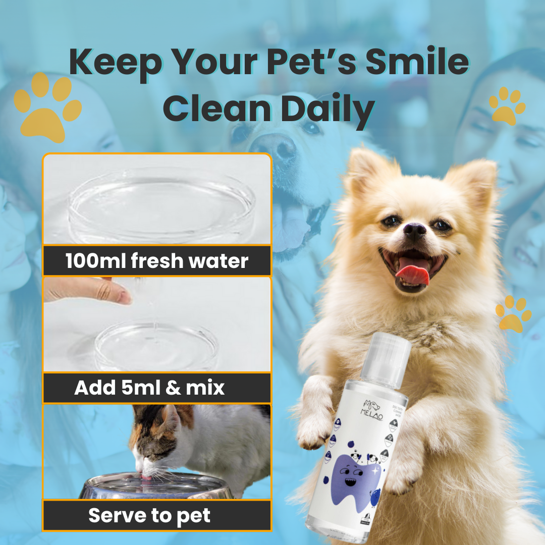 FIONZO™ Pet Oral Care Water Cleaner